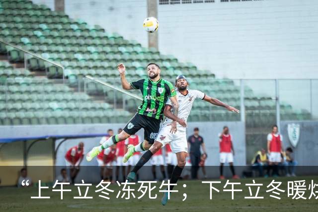 “上午立冬冻死牛；下午立冬暖烘烘”，今年立冬在哪？冬天会很冷吗？