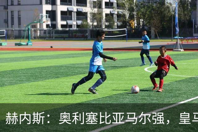 赫内斯：奥利塞比亚马尔强，皇马想买是胡扯